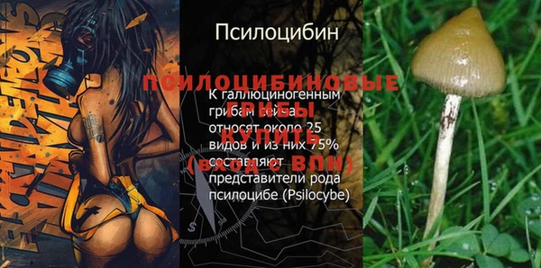 MESCALINE Алексеевка