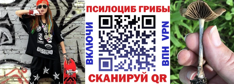 Галлюциногенные грибы MAGIC MUSHROOMS  МЕГА как зайти  Вихоревка  купить наркоту 